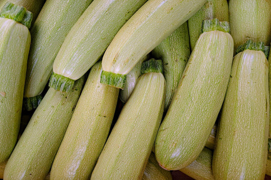 Zucchini- Grey