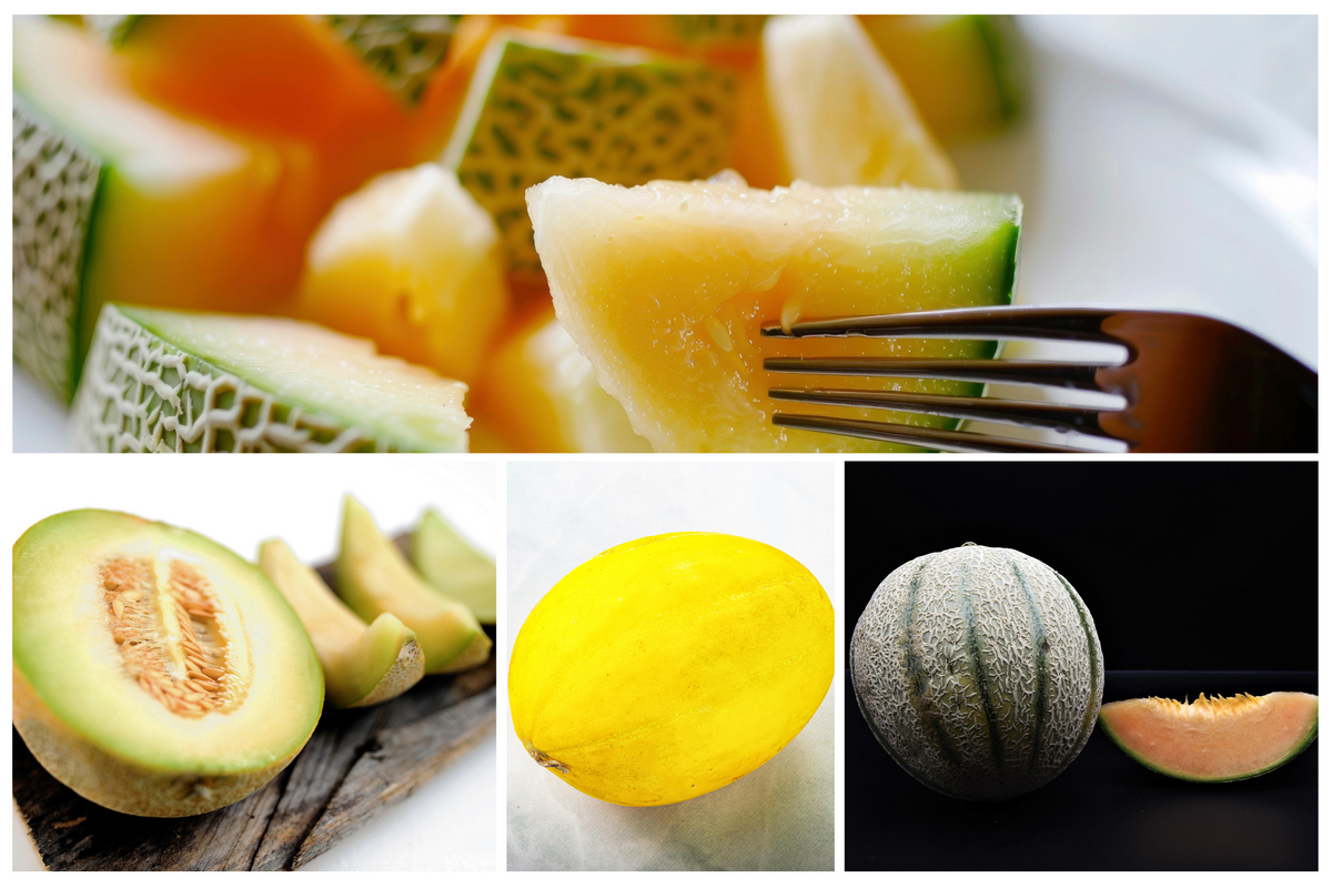 Rockmelon Heirloom Mix – Seeds N Beyond