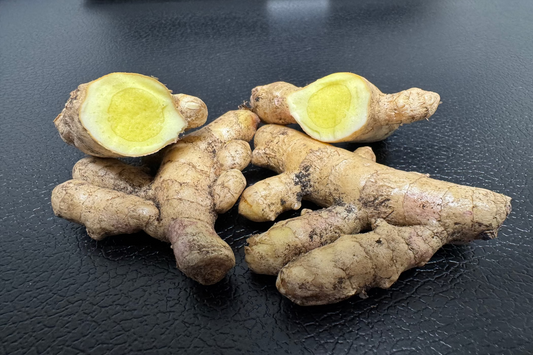 White Turmeric Rhizomes (Curcuma zedoaria)