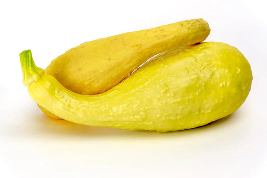 Zucchini Yellow Crookneck Seeds